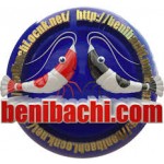 Benibachi