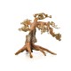 Bonsai Wood - M