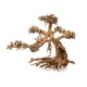 Bonsai Wood - S