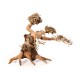 Bonsai Wood - S